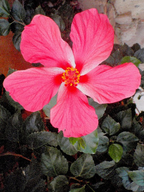 f:id:Seita75851833:20260905155915j:image