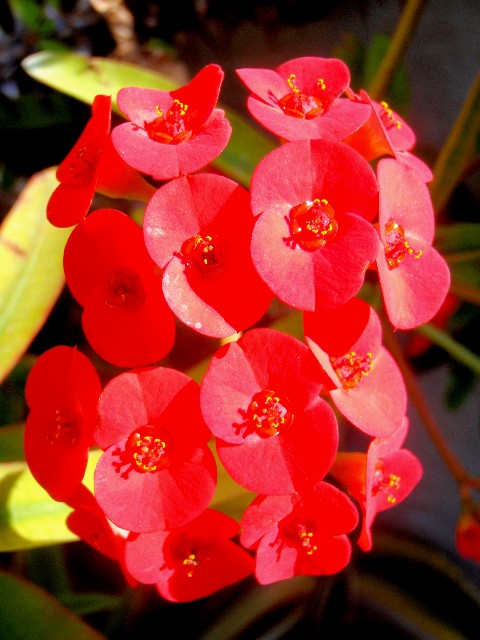 f:id:Seita75851833:20260905155959j:image