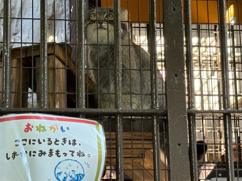 f:id:Seizan1959Ys:20260917164333j:image f:id:Seizan1959Ys:20260917164333j:image