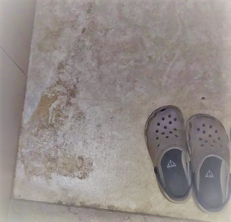 f:id:Semi-retired:20181009075351j:plain