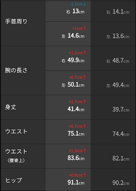 f:id:Semi-retired:20181104102710p:plain