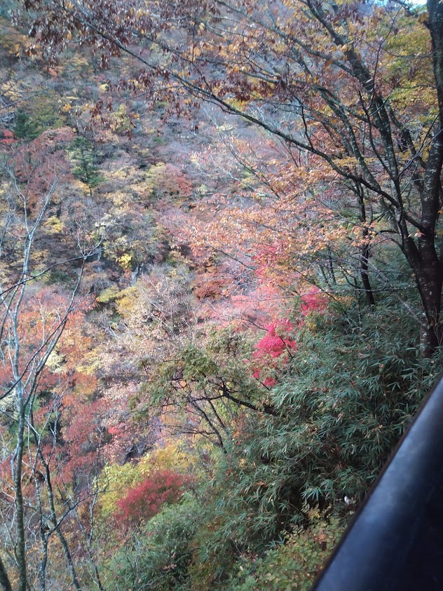 f:id:Semi-retired:20181111112151j:plain f:id:Semi-retired:20181111112151j:plain