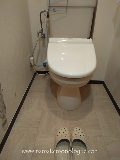  toilet3