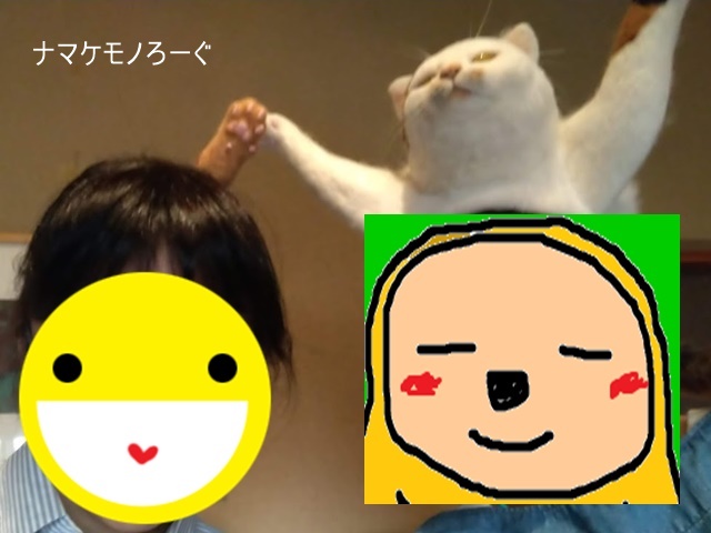 cat-cap