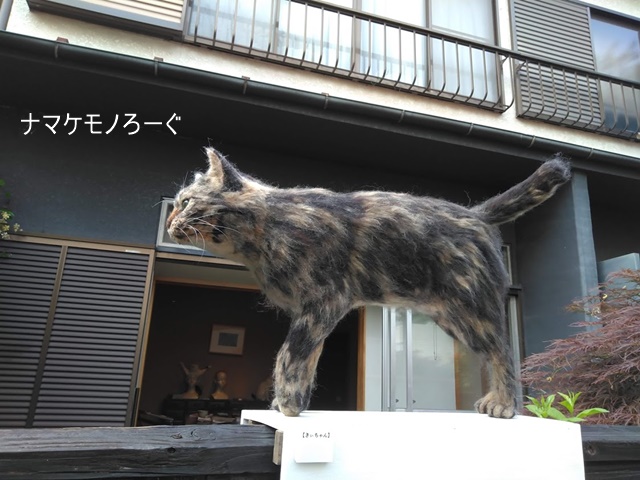 nekodemukae