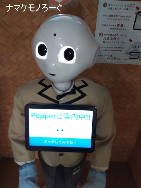 pepper@Yokohama-Sta.1