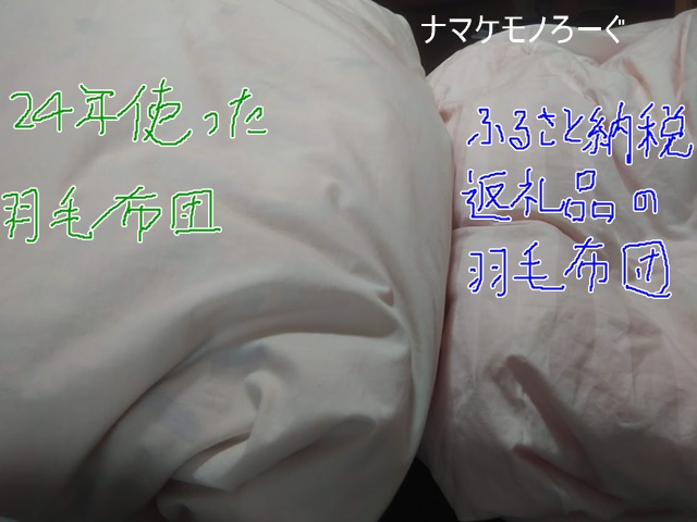 duvet20191027-3