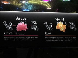 f:id:SenooLab:20180603185837j:plain f:id:SenooLab:20180603185837j:plain