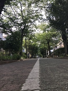 f:id:SenooLab:20180630233355j:plain f:id:SenooLab:20180630233355j:plain
