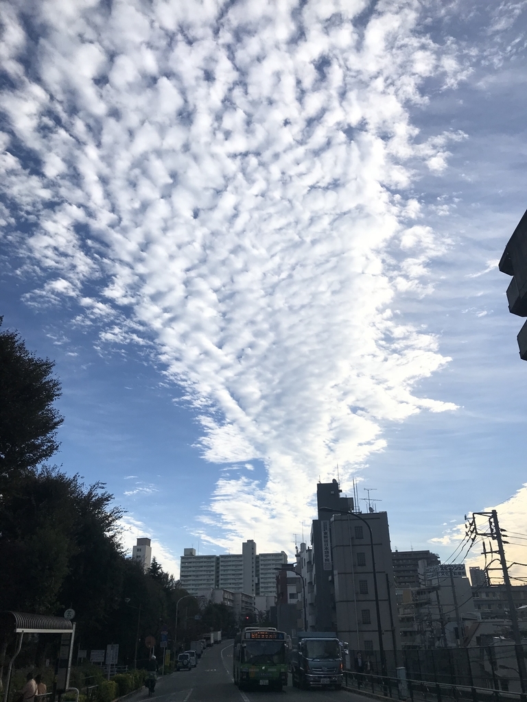 f:id:SenooLab:20181101075555j:plain f:id:SenooLab:20181101075555j:plain