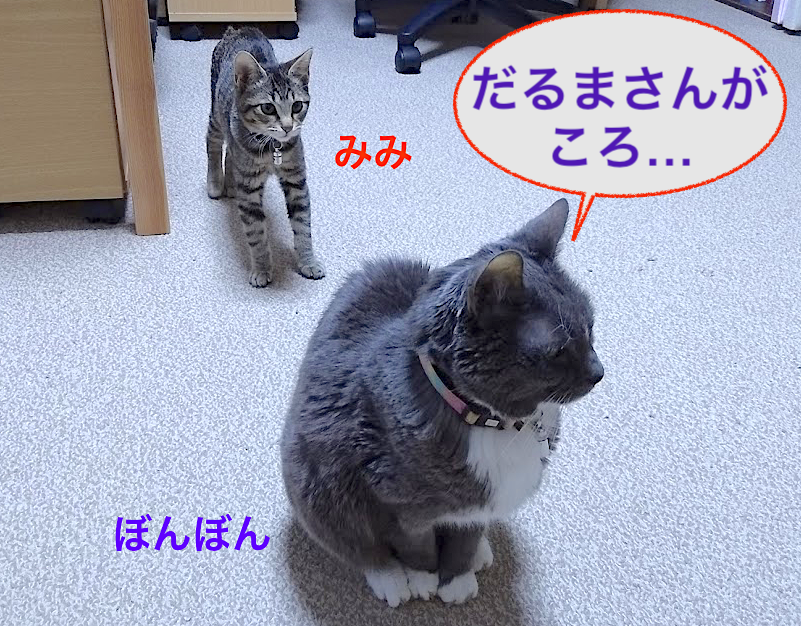 f:id:Serendipia:20190121161616p:plain f:id:Serendipia:20190121161616p:plain