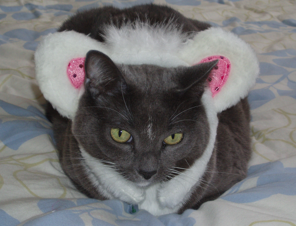 f:id:Serendipia:20190225114028p:plain f:id:Serendipia:20190225114028p:plain