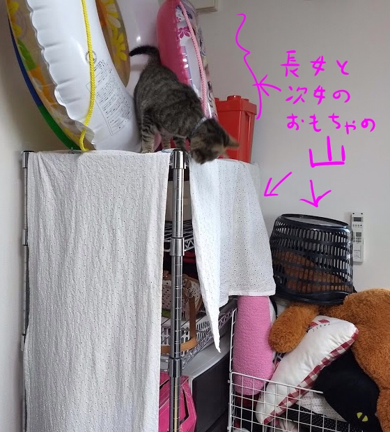 f:id:Serendipia:20190225115247j:plain f:id:Serendipia:20190225115247j:plain