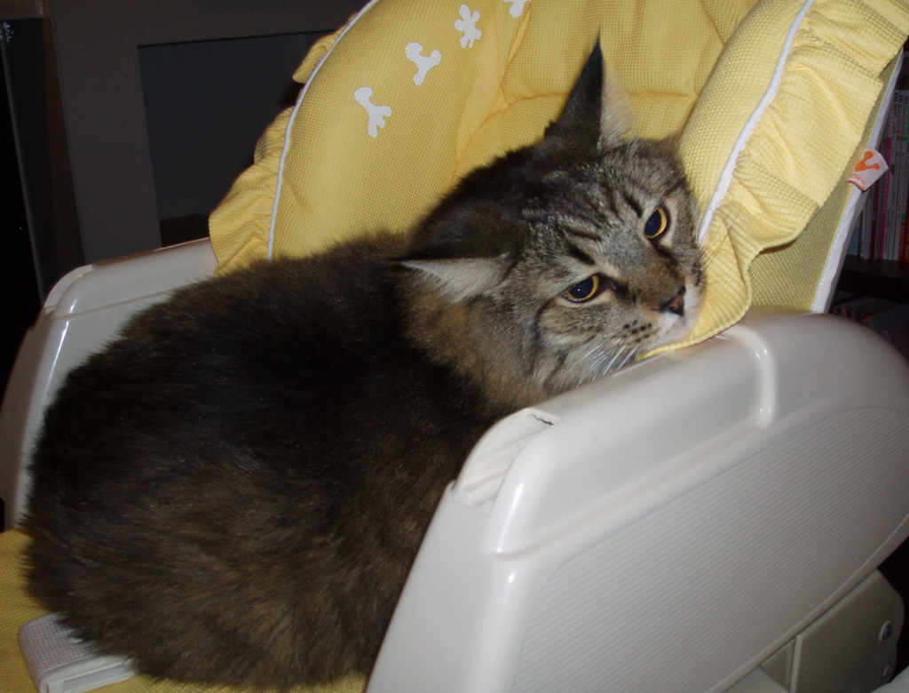 f:id:Serendipia:20190225123552p:plain f:id:Serendipia:20190225123552p:plain