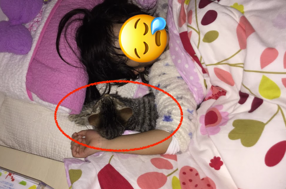 f:id:Serendipia:20190305133742p:plain