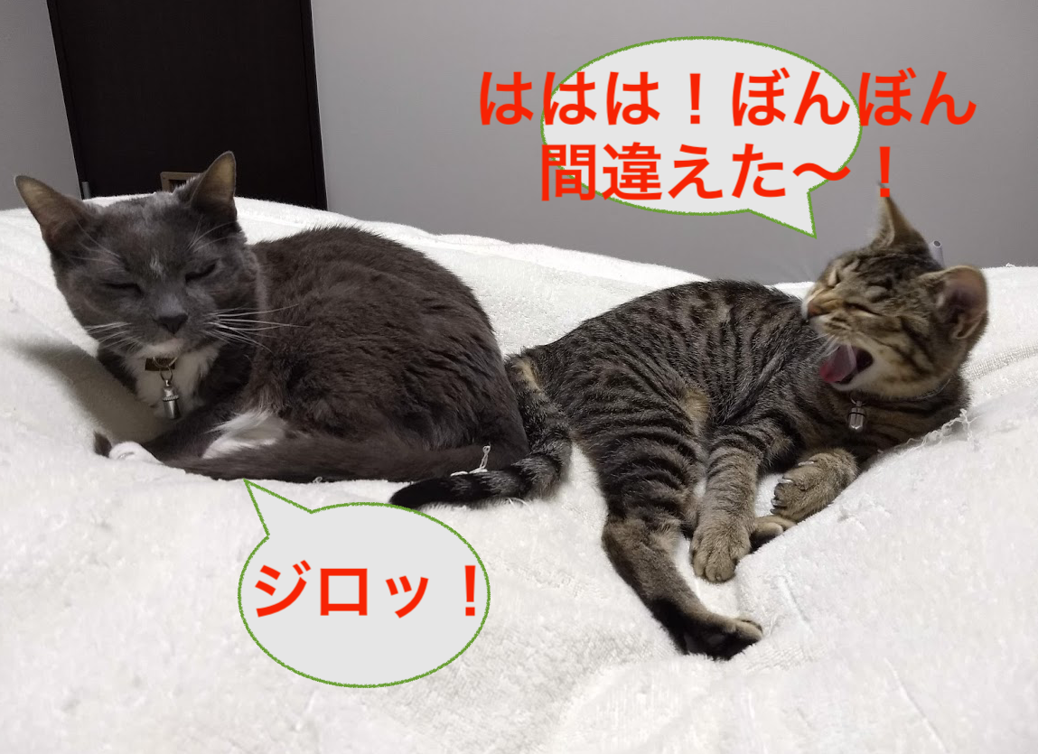 f:id:Serendipia:20190319161654p:plain f:id:Serendipia:20190319161654p:plain