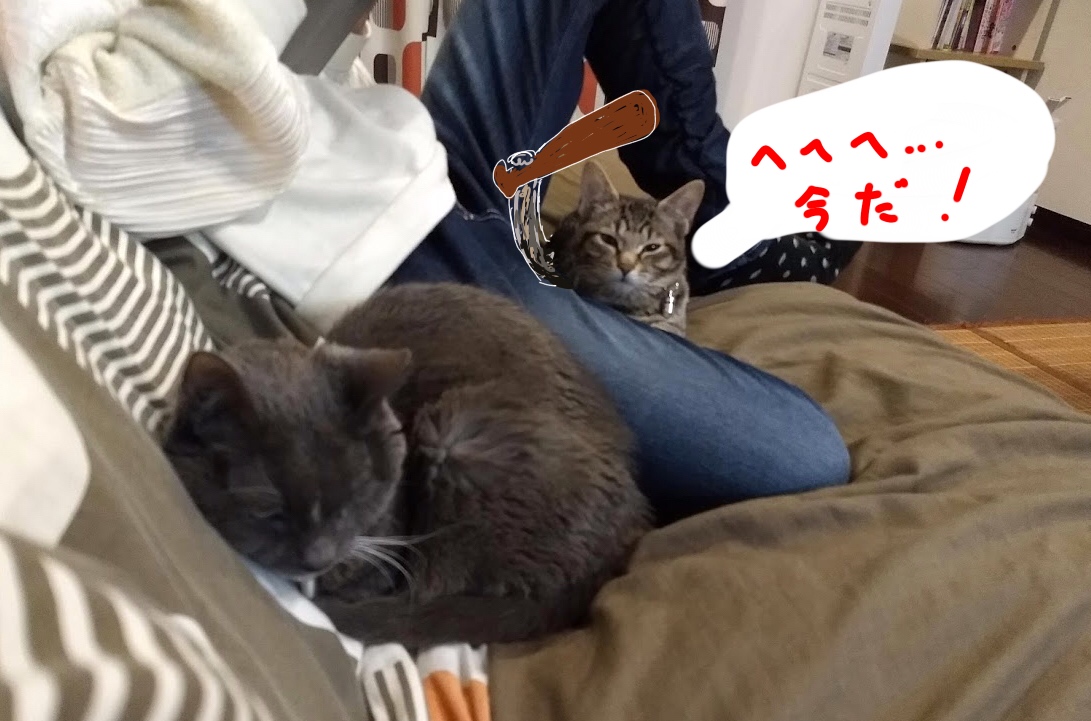 f:id:Serendipia:20190320151653j:plain f:id:Serendipia:20190320151653j:plain