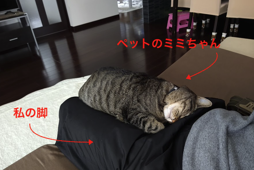 f:id:Serendipia:20201201180808p:plain