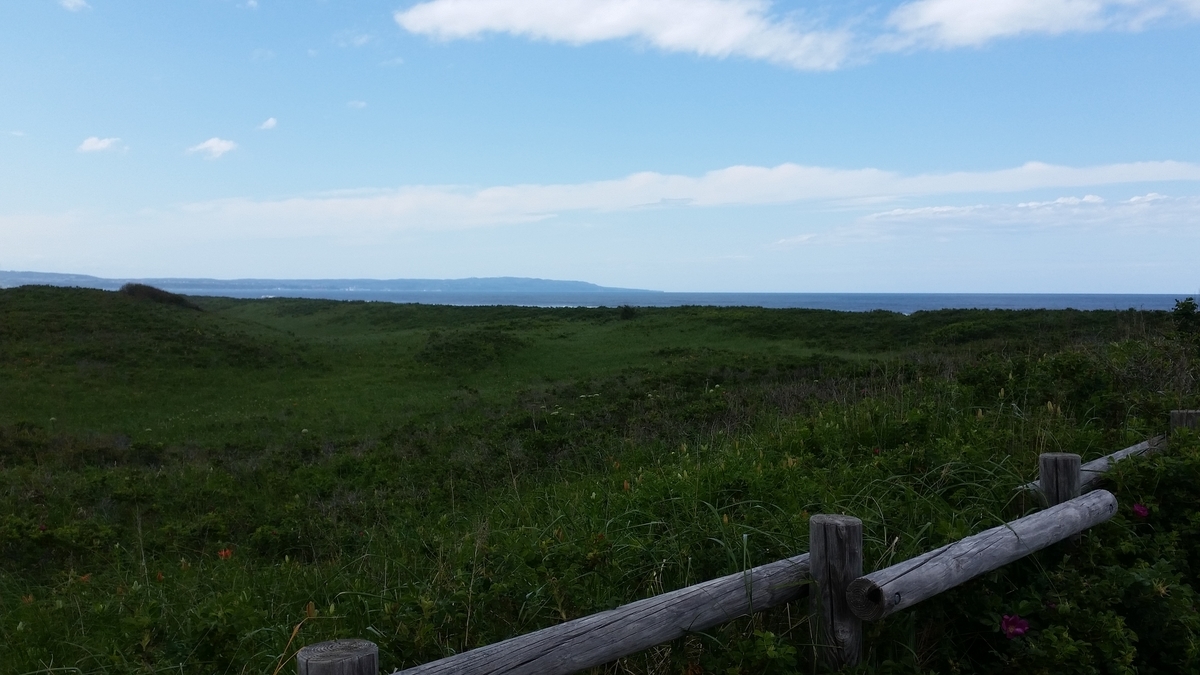 f:id:Sergeant-Oddball:20190619141241j:plain f:id:Sergeant-Oddball:20190619141241j:plain