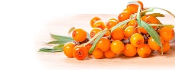 f:id:Sesshoku_Vlog:20211222074942j:image f:id:Sesshoku_Vlog:20211222074942j:image