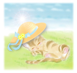 f:id:Setouchidiary:20190413132855j:plain