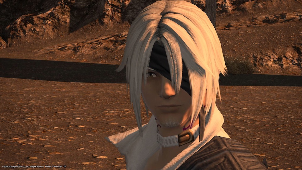 f:id:Shachiku:20200905165417j:image