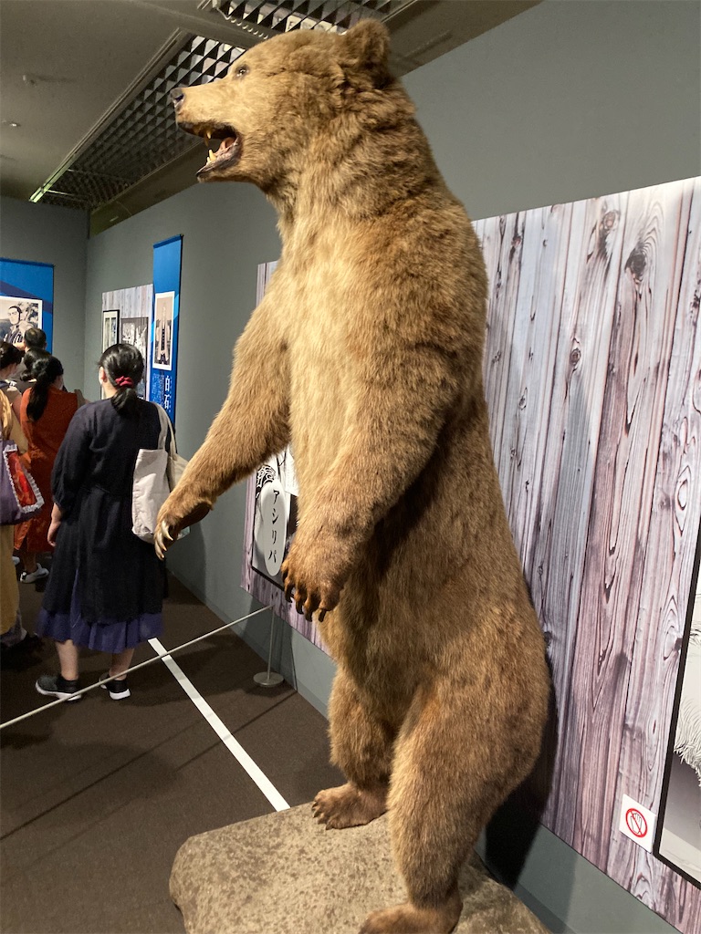 f:id:Shachiku:20220731231113j:image