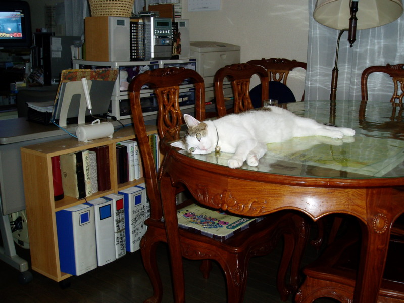 20120828061740