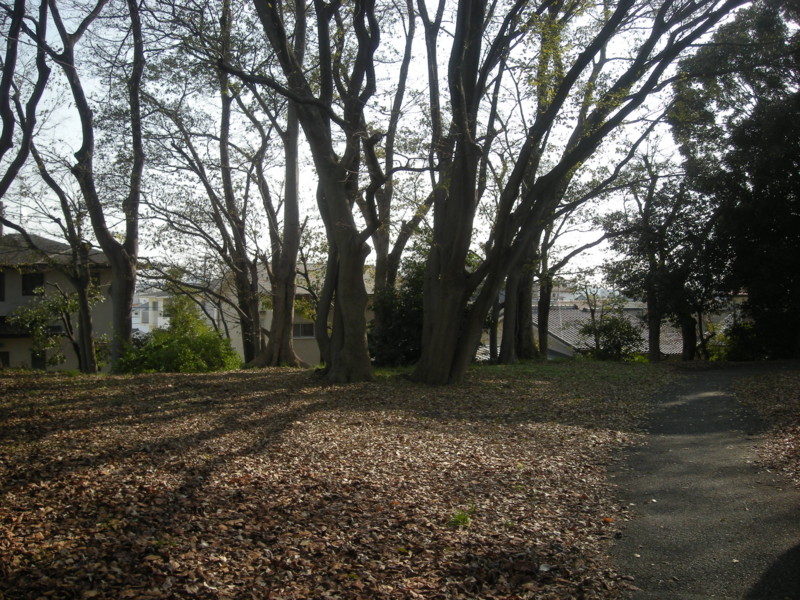 20150109064050