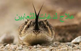 f:id:ShaimaHussein:20170621092427j:plain