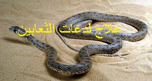 f:id:ShaimaHussein:20170621092514j:plain