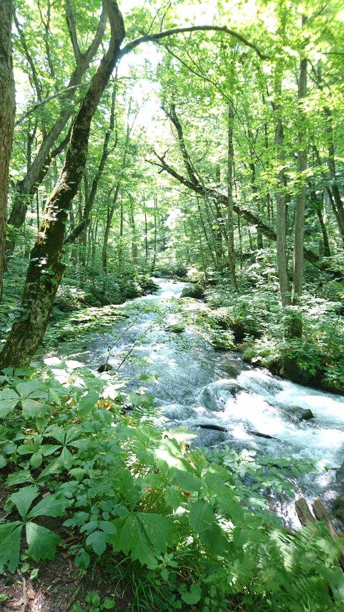 f:id:ShanTake:20200114010630j:plain