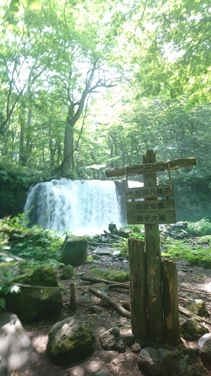 f:id:ShanTake:20200114010656j:plain