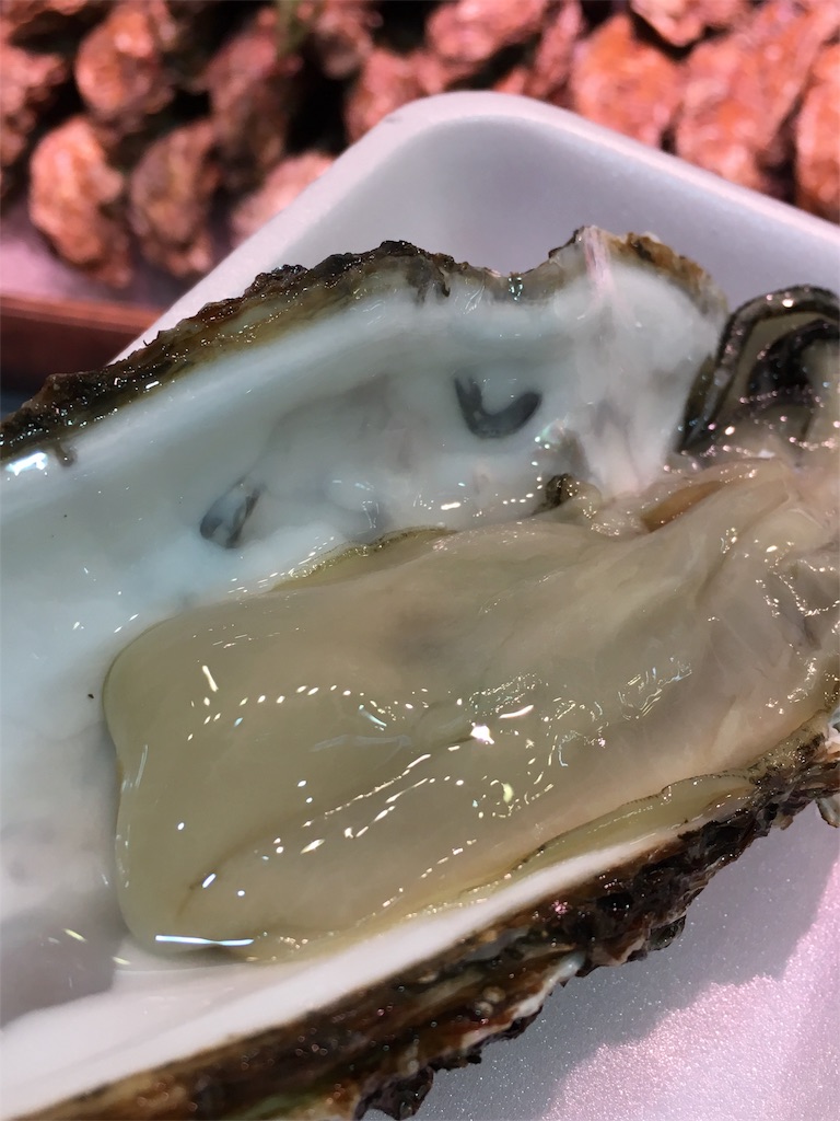 f:id:Shanty31:20171025104611j:image f:id:Shanty31:20171025104611j:image