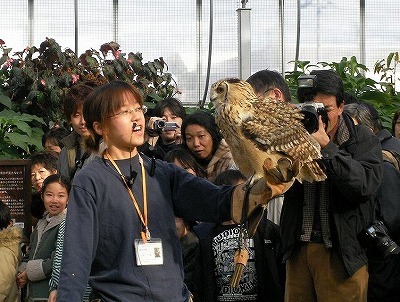 神戸の旅12