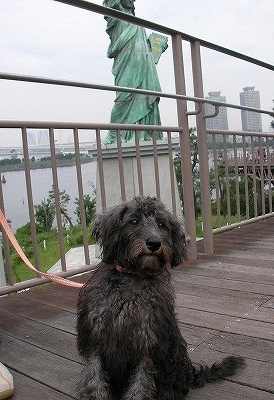 f:id:Shaomai:20080923233855j:image f:id:Shaomai:20080923233855j:image