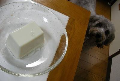 f:id:Shaomai:20091223231038j:image