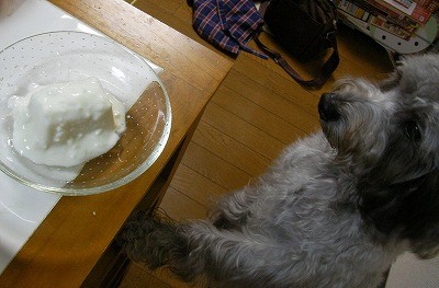 f:id:Shaomai:20091223231039j:image