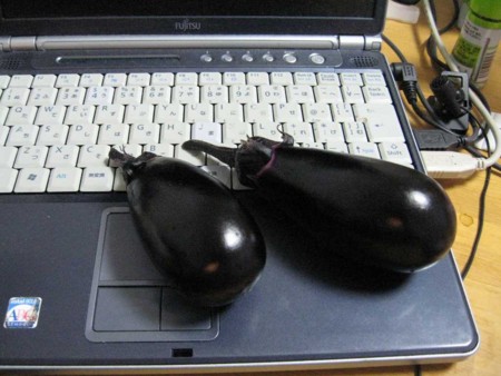 f:id:She-la-feeta:20090730202409j:image