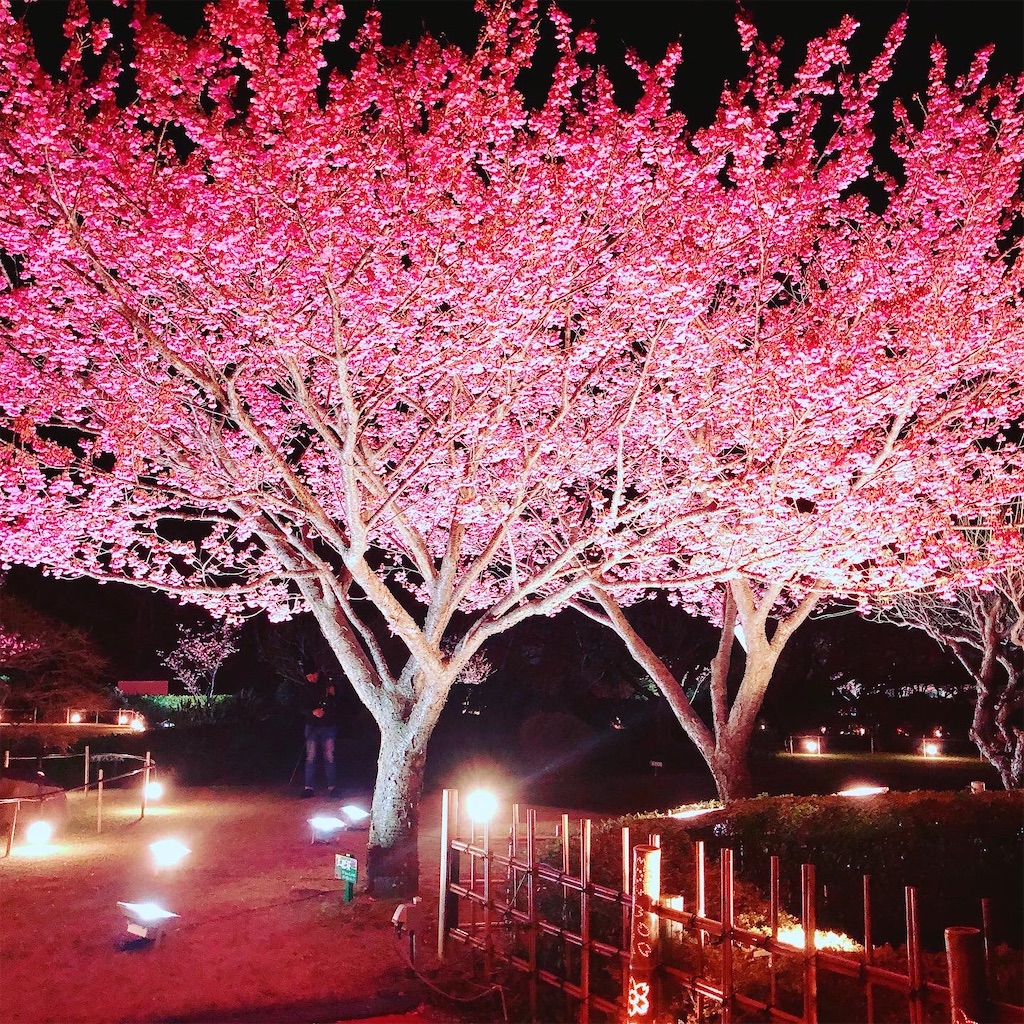 f:id:SheaRed:20200122215404j:image