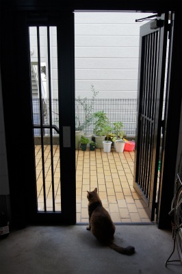 f:id:Shi____N:20120911181422j:image:w360 f:id:Shi____N:20120911181422j:image:w360