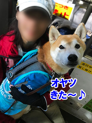 f:id:Shiba-MontBlanc:20181108234429j:plain