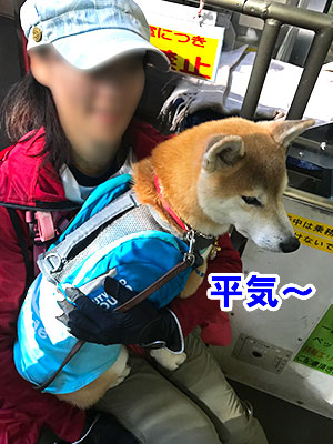 f:id:Shiba-MontBlanc:20181108234431j:plain