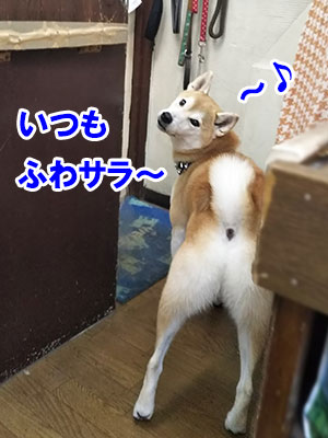 プロの仕上がり