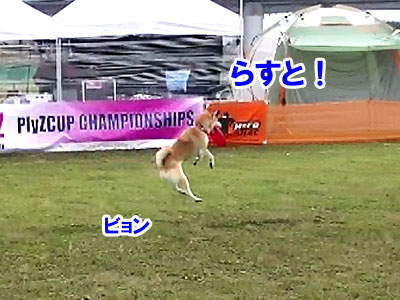 もんじ5