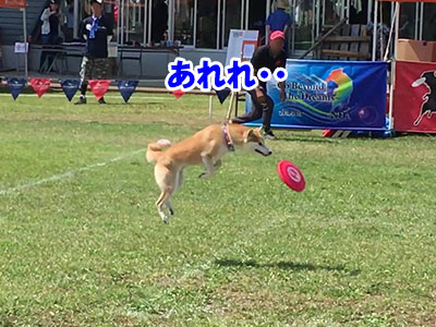 f:id:Shiba-MontBlanc:20190802022007j:plain