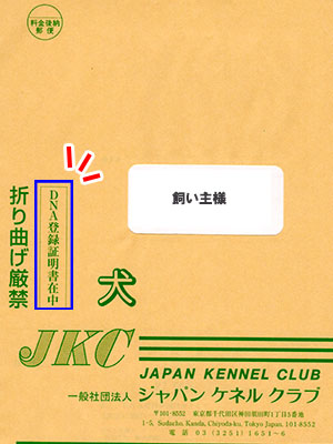 f:id:Shiba-MontBlanc:20190909000857j:plain