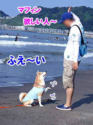 f:id:Shiba-MontBlanc:20191006161943j:plain