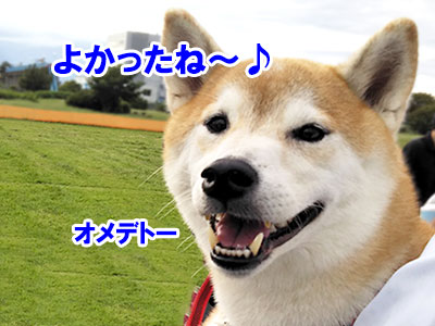 f:id:Shiba-MontBlanc:20191011163345j:plain