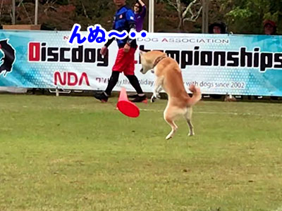 f:id:Shiba-MontBlanc:20191102213532j:plain